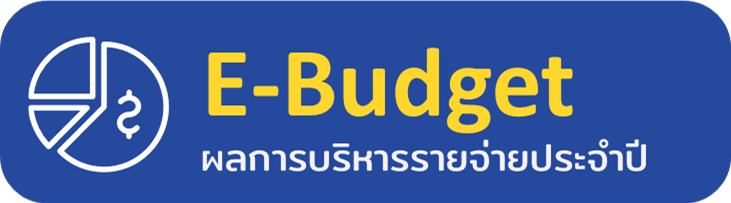 E Budget